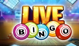 bingo-live-img